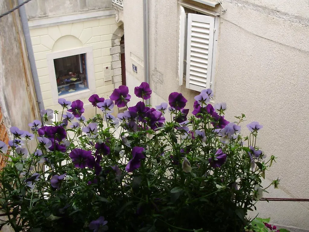 Aurora Apartment Krk Town Croatia